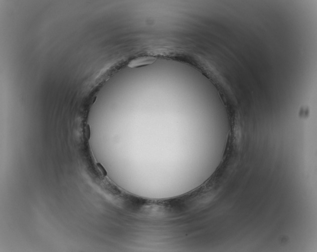 X0000111620211200907171112