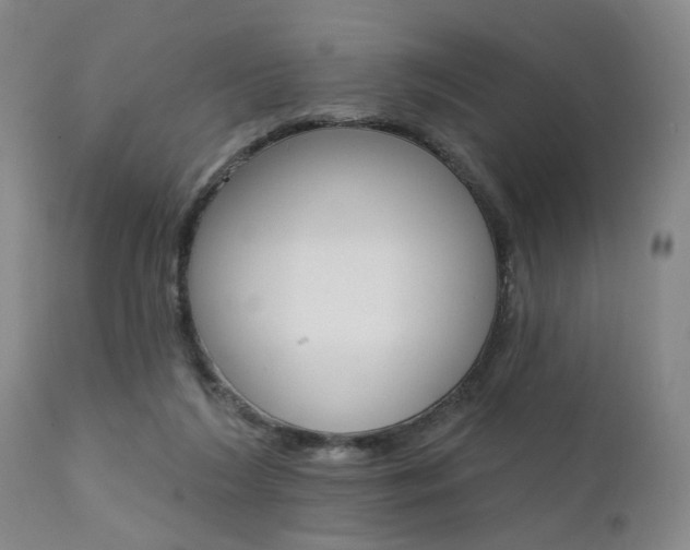X0000111620212200907171112