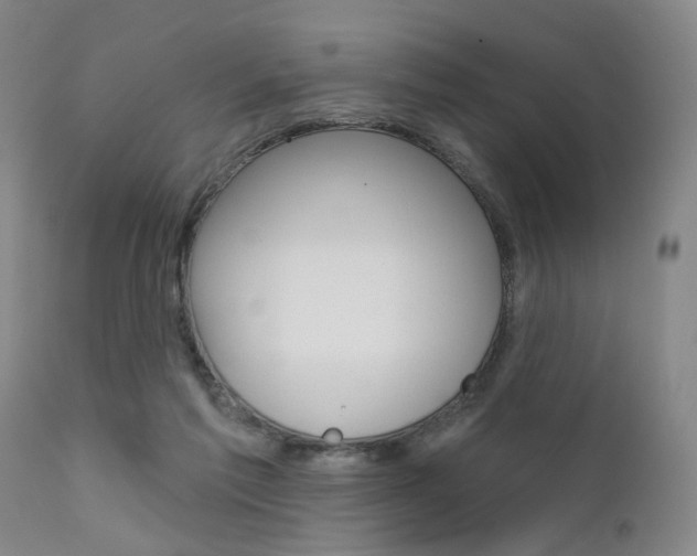 X0000111620213200907171112