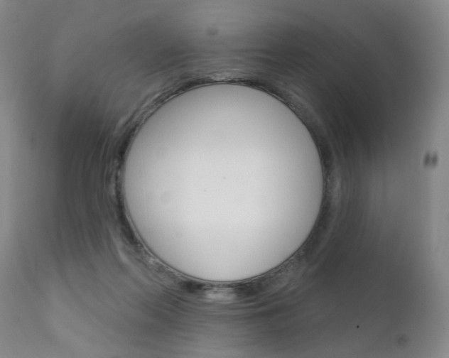 X0000111620214200907171112