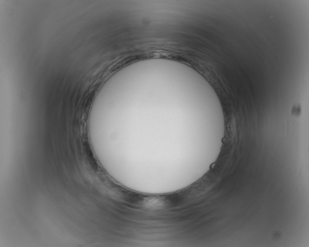 X0000111620218200907171112
