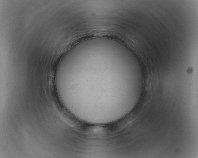 X0000111620219200907171112