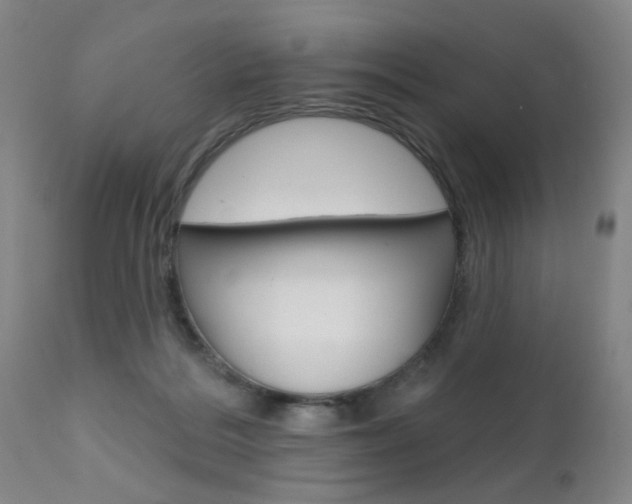 X0000111620220200907171112