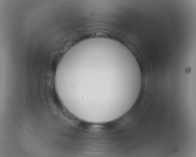 X0000111620222200907171112