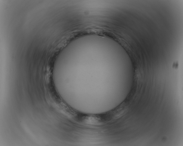 X0000111620223200907171112