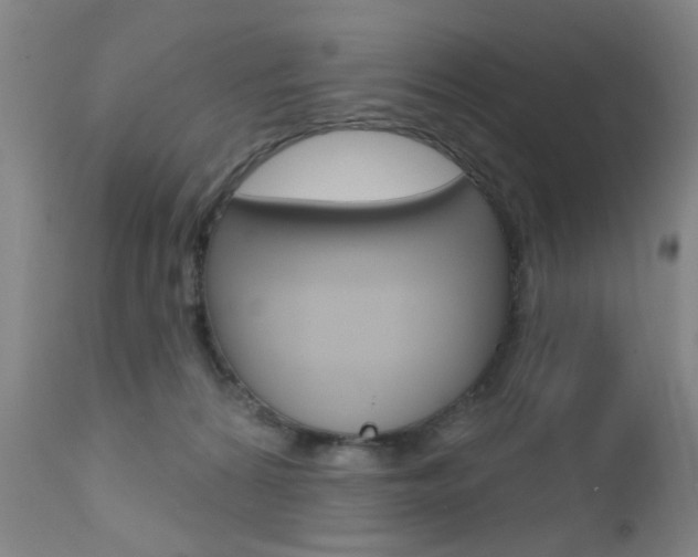 X0000111620224200907171112