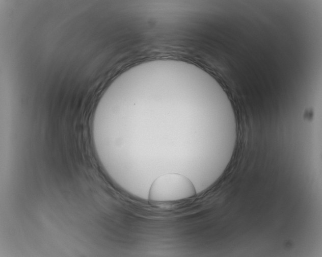 X0000111620225200907171112