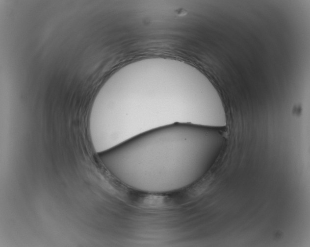 X0000111620227200907171112