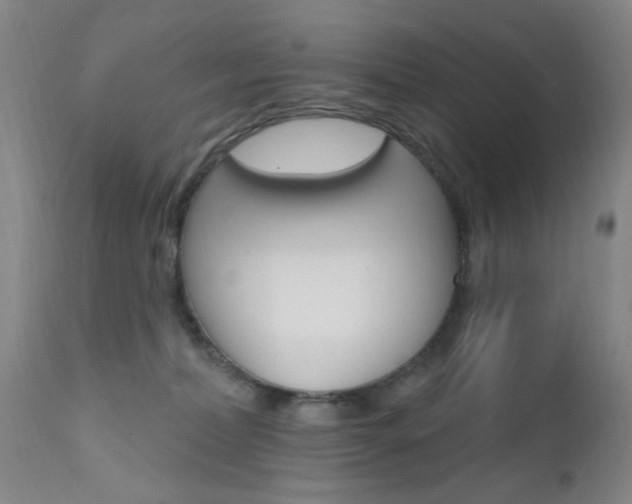 X0000111620228200907171112