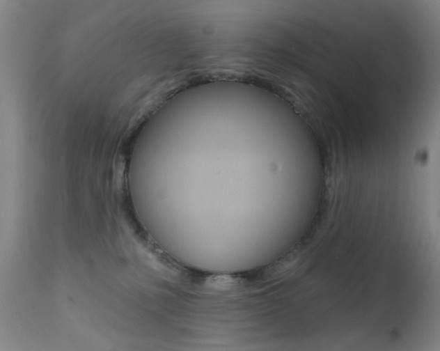 X0000111620231200907171112