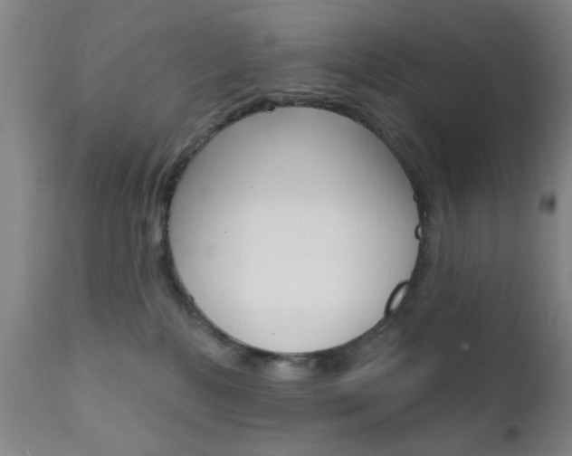X0000111620232200907171112