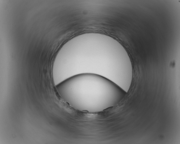 X0000111620233200907171112