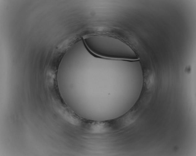 X0000111620235200907171112