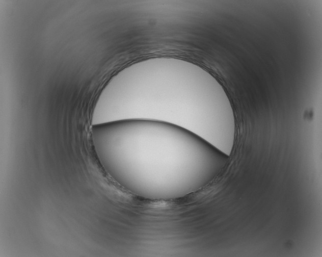 X0000111620237200907171112