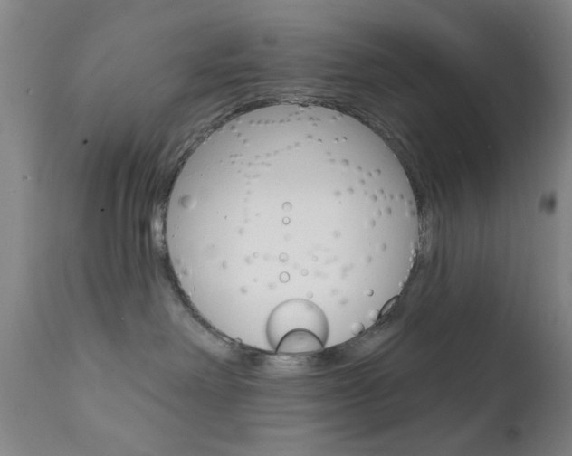 X0000111620238200907171112
