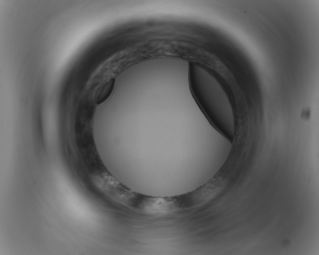 X0000111620239200907171112