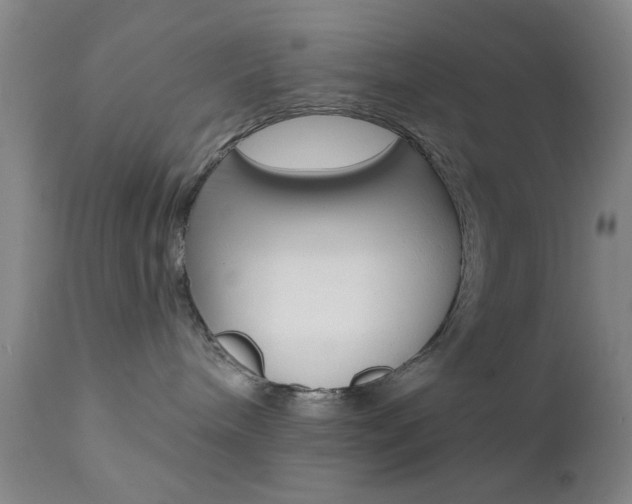 X0000111620240200907171112