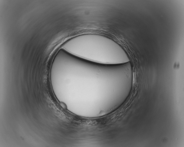 X0000111620243200907171111