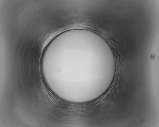 X0000111620244200907171111