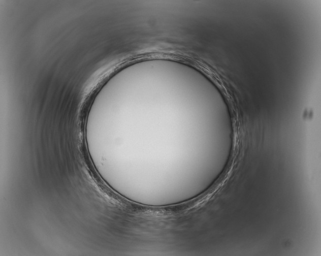 X0000111620245200907171111