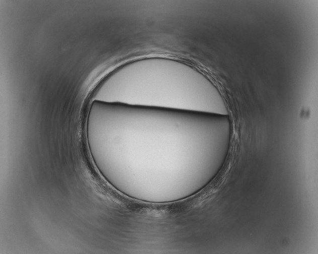 X0000111620247200907171111