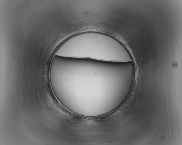 X0000111620249200907171111