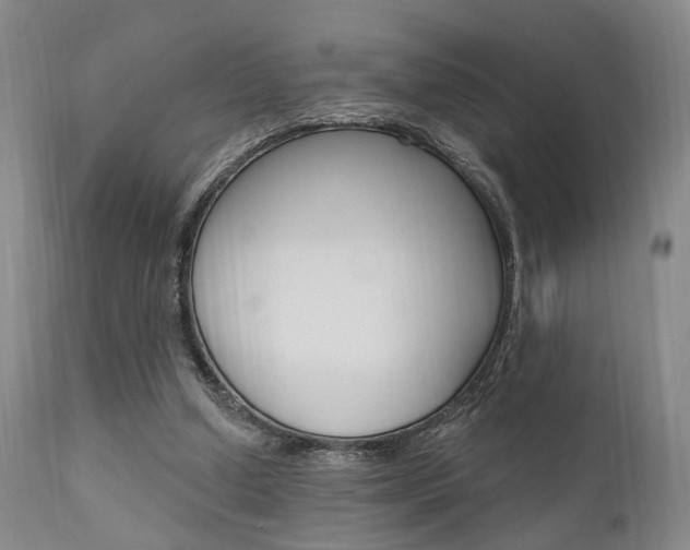 X0000111620250200907171111
