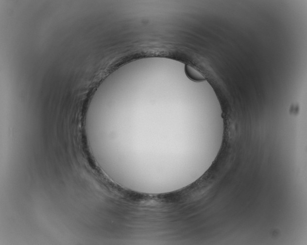 X0000111620259200907171112