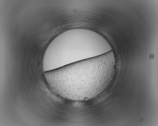 X0000111620261200907171112