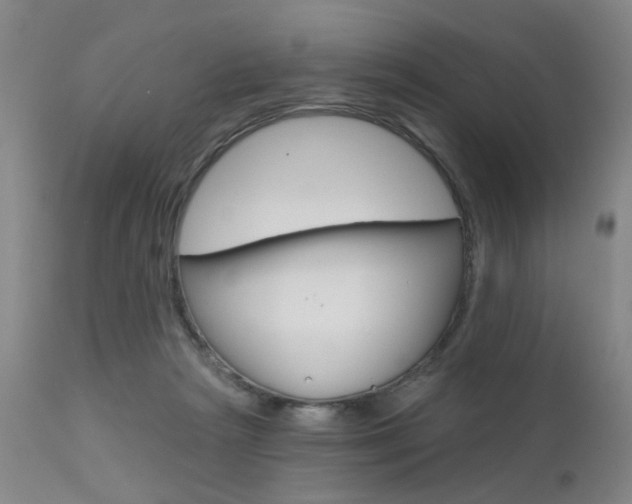 X0000111620265200907171112