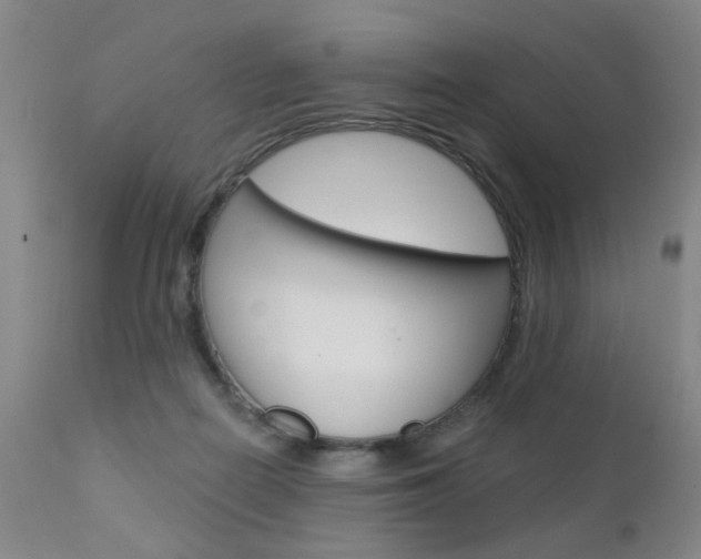 X0000111620266200907171112