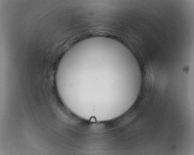 X0000111620271200907171112