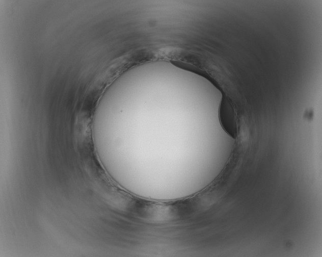 X0000111620276200907171112