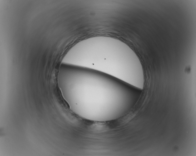 X0000111620280200907171112