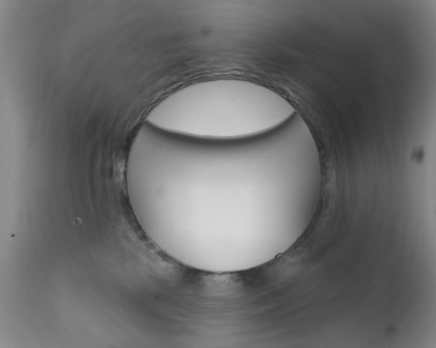 X0000111620281200907171112