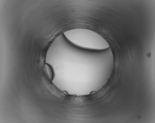 X0000111620282200907171112