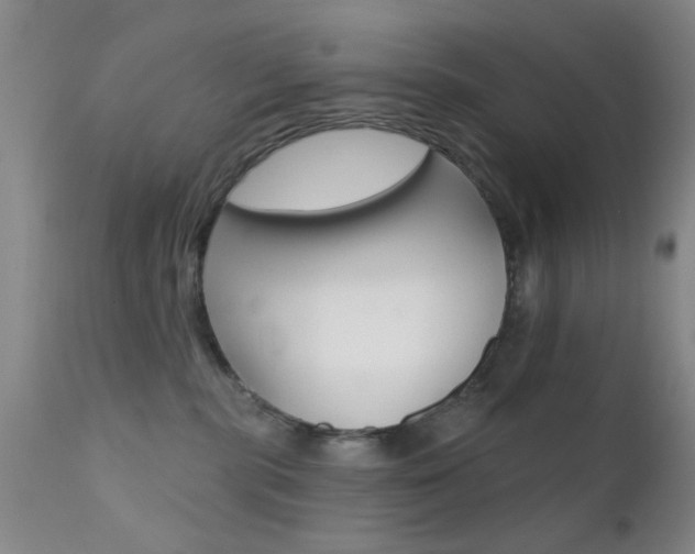 X0000111620283200907171112