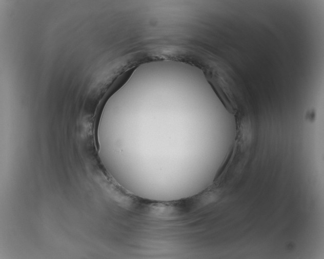 X0000111620284200907171112