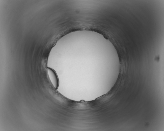 X0000111620286200907171112
