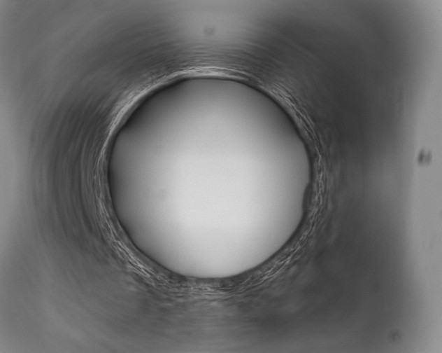 X0000111620289200907171111