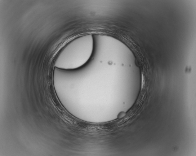 X0000111620291200907171111