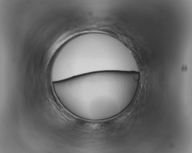 X0000111620295200907171111