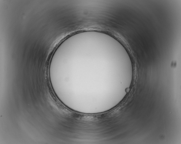 X0000111620298200907171111