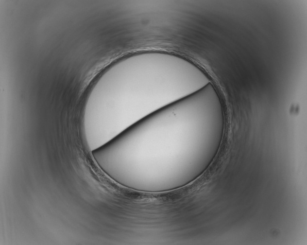 X0000111620299200907171111