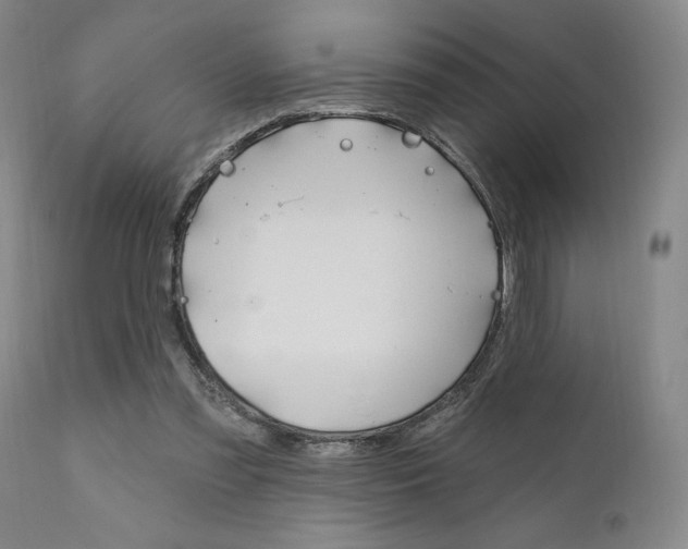X0000111620301200907171111