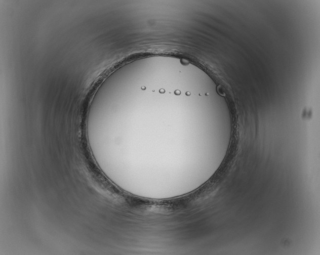 X0000111620303200907171111