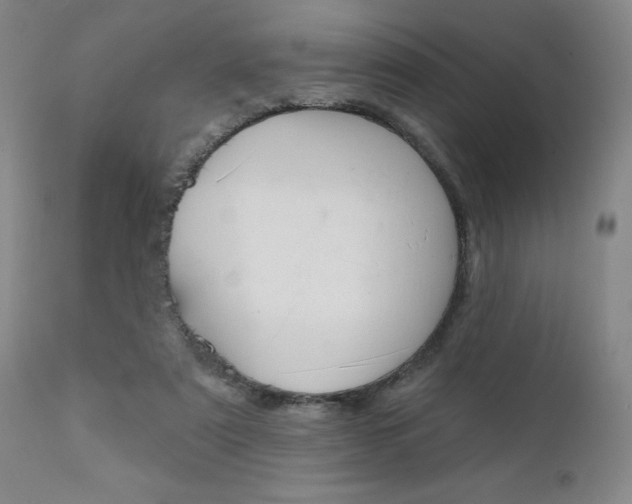 X0000111620307200907171111