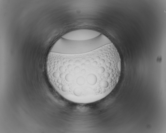 X0000111620311200907171111