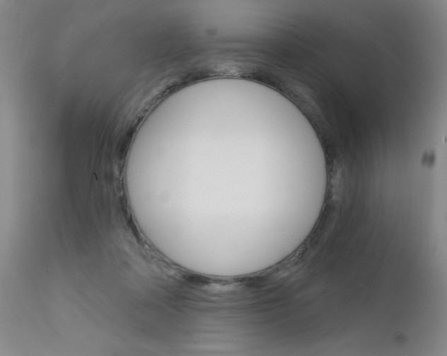 X0000111620314200907171111