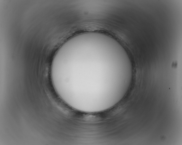 X0000111620315200907171111